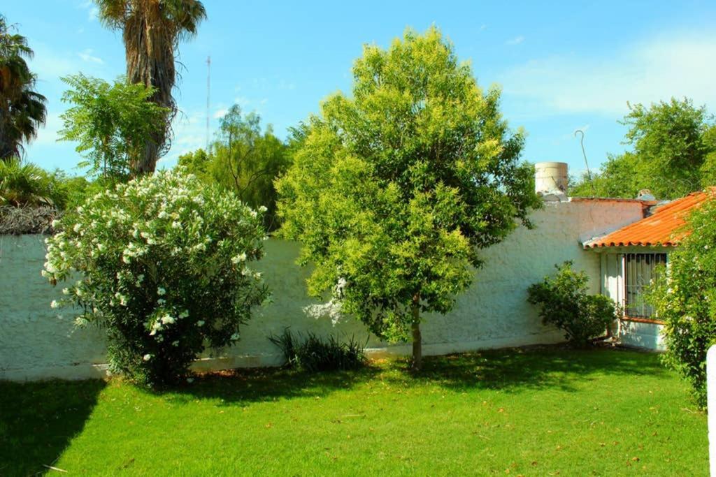 Big Beautiful House With Garden In 5Ta Seccion Neighbourhood Villa Mendoza Luaran gambar
