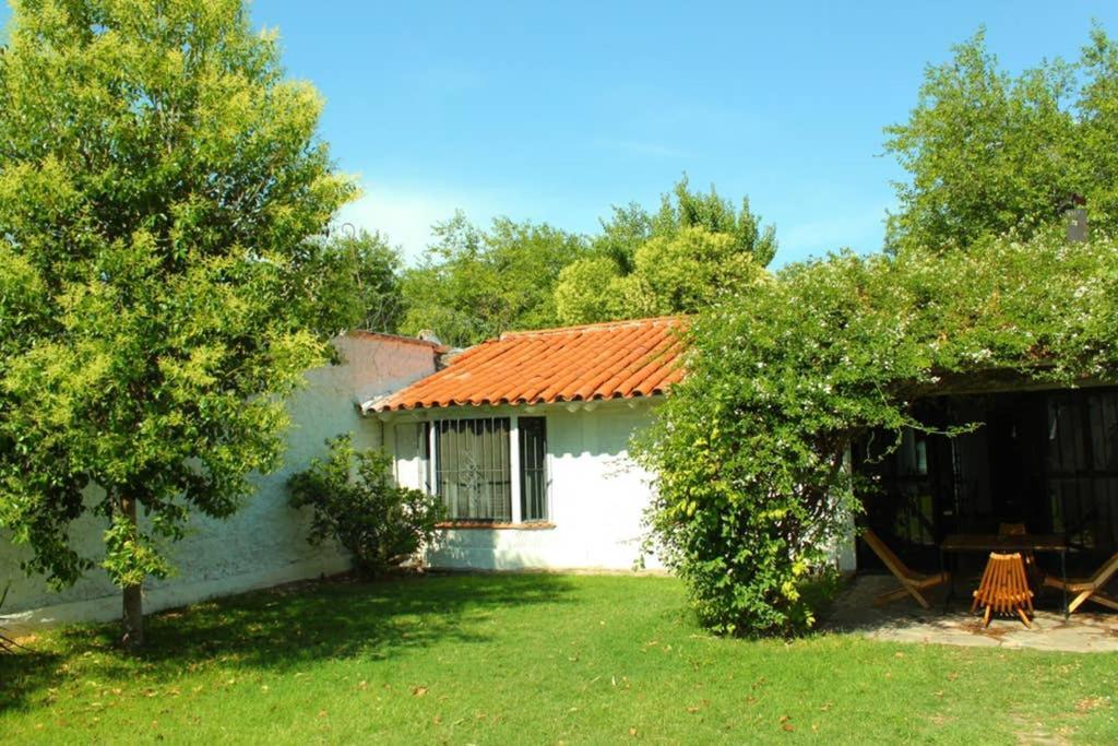 Big Beautiful House With Garden In 5Ta Seccion Neighbourhood Villa Mendoza Luaran gambar